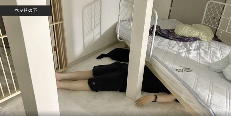 giấc ngủ của mèo giấc ngủ của mèo